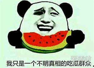 网语吃瓜是什么意思怎么说的,吃瓜背后的趣味与内涵